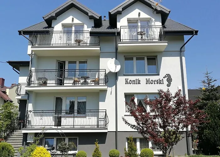 Konik Morski